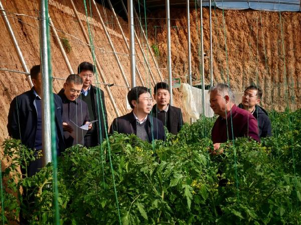 太阳成集团tyc122ccvip随青岛市科技局赴甘肃省 开展东西部科技协作调研