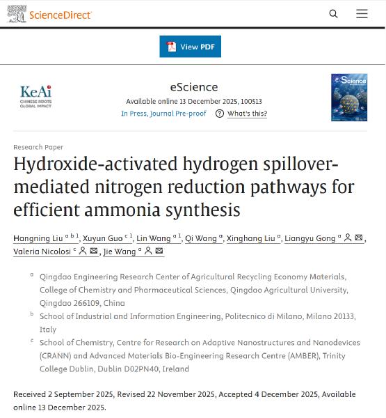 eScience发表王杰教授团队最新研究成果揭示绿氨电催化合成新路径