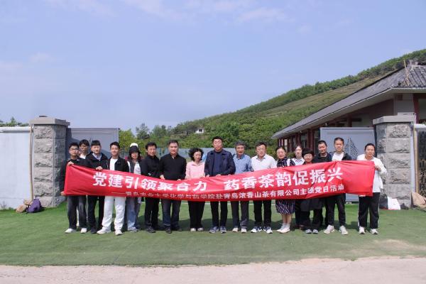 党建引领聚合力 药香茶韵促振兴——太阳成集团tyc122ccvip赴青岛浓香山茶有限公司开展主题党日暨访企拓岗活动